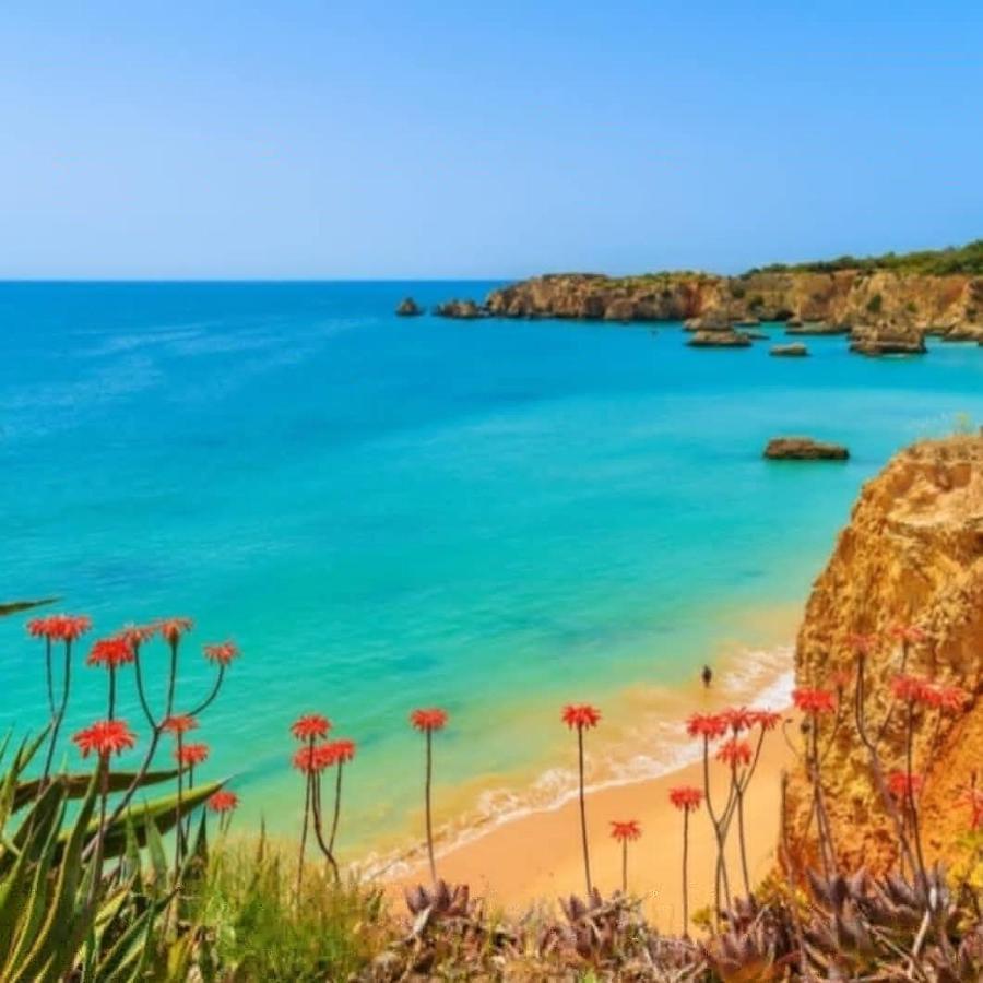 Paraiso De Alvor - A True Paradise In An Amazing Nature Place With Direct Access To The Pool - Peace And Relax - Next To Alvor Village And The Beach Екстер'єр фото